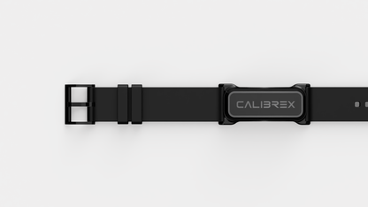 Calibrex Wristband